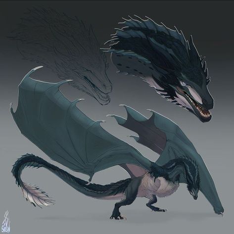 Mythical Creatures Fantasy, Game Of Thrones Dragons, Got Dragons, Wings Of Fire Dragons, Dragon Artwork Fantasy, Targaryen Art, Dragon Sketch, Httyd Dragons, Gra O Tron