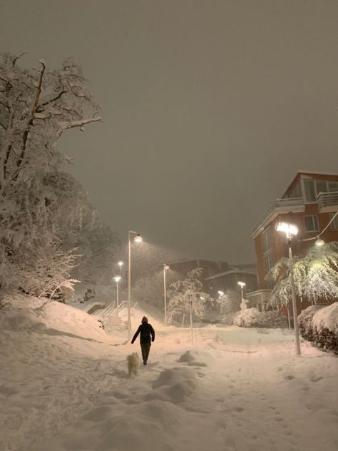 Winter In Stockholm, Stockholm Winter Aesthetic, Stockholm In Winter, Christmas Stockholm, Stockholm Snow, Stockholm Christmas, Winter Stockholm, Winter Goals, Stockholm Winter