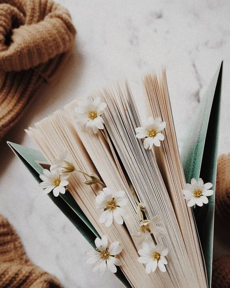 Bookstagram Inspiration, Image Swag, Picture Inspiration, Book Flowers, Book Wallpaper, Blogger Tips, Photography Instagram, Beige Aesthetic, Coffee And Books