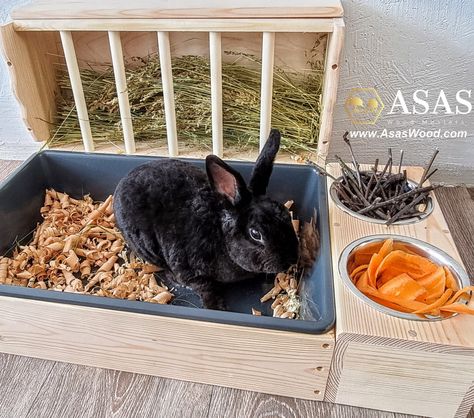 Indoor Bunny House, Bunny Litter Box, Rabbit Feeder, Rabbit Hay Feeder, Rabbits For Sale, Rabbit Enclosure, Rabbit Litter, Rabbit Accessories, Rabbit Litter Box