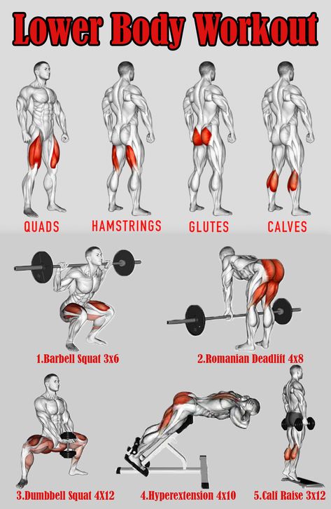 Lower Body Workout For Men, Lower Body Workout Routine, Lower Workout, Leg Workouts Gym, Pola Kotak, Gym Workout Planner, Bodybuilding Workout Plan, Gym Workout Chart, Workout Training Programs