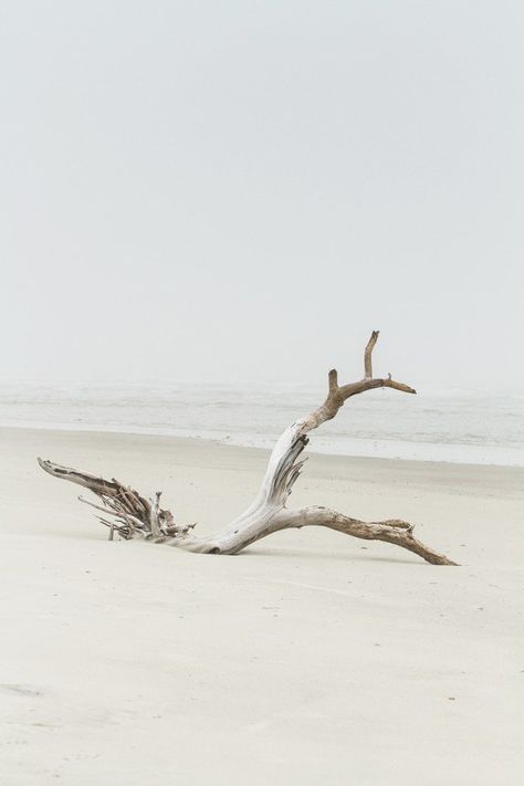 Cottages By The Sea, Case In Pietra, Driftwood Beach, Cottage By The Sea, Tybee Island, Black Sand Beach, Jolie Photo, Pics Art, Beach Cottages