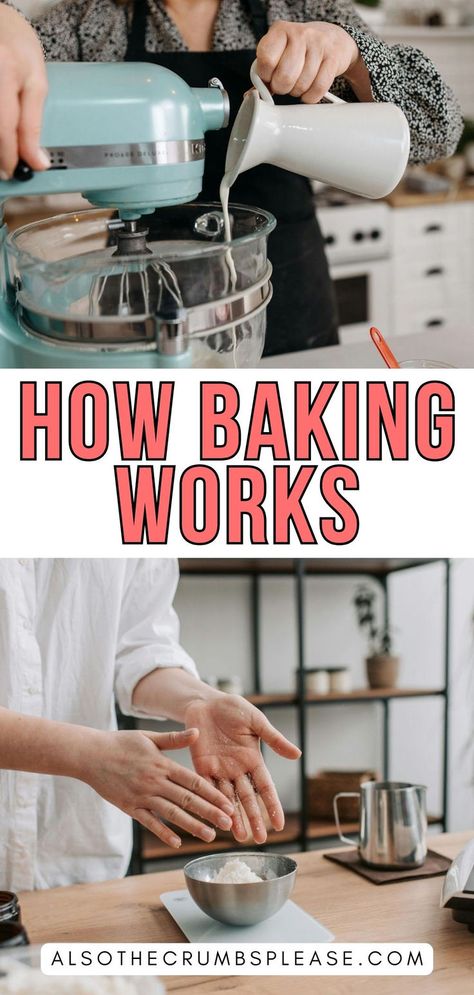 Ever wonder why your cake rises? Get the science behind baking explained! Discover how ingredients like baking powder and yeast work together, and master the chemistry of creating delicious baked goods. Science Behind Baking, Baking Science, Baking Tips, The Science, Baking Powder, Yeast, Baked Goods, Chemistry, Science