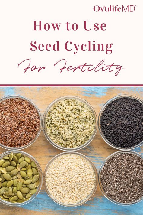 Types Of Seeds To Eat, Period Cycling, Seeds For Fertility, Seed Cycling Hormones, Seed Cycle, Flo Living, Chiro Office, Types Of Seeds, Cycling Food