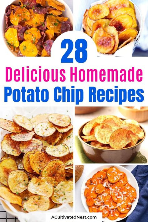 Homemade Bbq Potato Chips, Make Your Own Chips, Homemade Bbq Chips, Sun Chips Recipe, How To Make Homemade Chips, Mashed Potato Chips, Dehydrator Potato Chips, Sweet Potato Chips Dehydrator, Homemade Doritos Chips