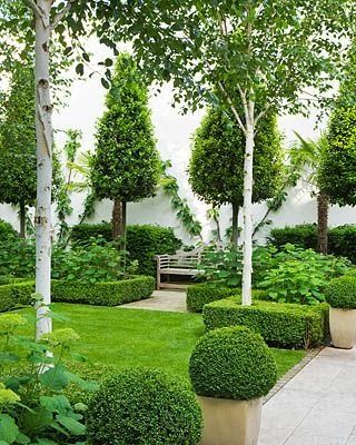 The Impatient Gardener: Discovering garden styles part 2: Formal gardens Driveway Landscape, Creek Garden, Formal Garden Design, Boxwood Garden, Topiary Garden, Formal Garden, Southern Highlands, Stoney Creek, Arch Design