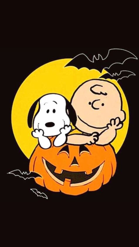 Charlie Brown Pumpkin, Halloween Snoopy, Great Pumpkin Charlie Brown, Peanuts Halloween, Charlie Brown Halloween, Snoopy Funny, Snoopy Halloween, Snoopy Images, Peanuts Cartoon