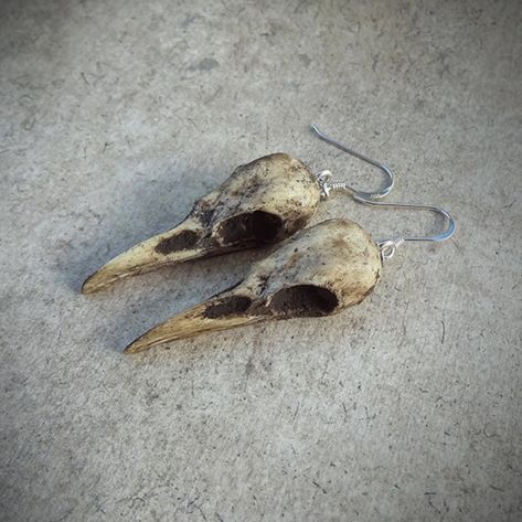 Fantasy Earrings, Witch Earrings, Raven Skull, Teenager Gifts, Bone Jewelry, Pagan Jewelry, Bird Skull, Snake Jewelry, Snake Earrings