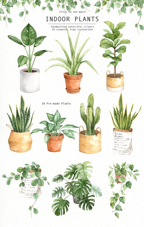 Indoor Plants Watercolor Clipart by everysunsun on @creativemarket Indoor Plants Drawing, Watercolour Leaves, Plants Watercolor, Kaktus Dan Sukulen, Plants In Pots, Tanaman Indoor, Indoor Flowering Plants, Tanaman Pot, نباتات منزلية