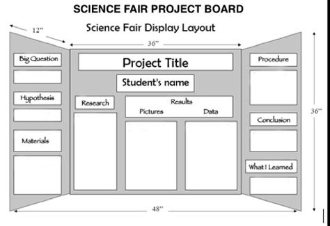 How to set up a science fair board Cardboard and Foamcore in stock at Village Arts Science Fair Project Board, Science Fair Poster, Science Project Board, Science Fair Board, Science Fair Projects Boards, Planning School, Steve Spangler Science, Science Boards, Science Fair Project