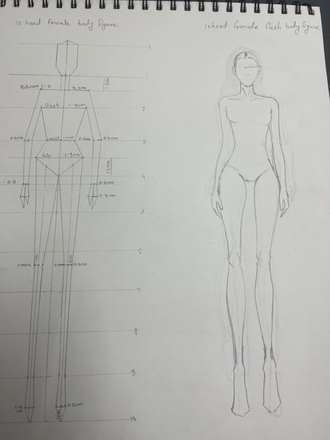 10 head Block body figure and 10 head flesh body figure illustrates 10 Head Fashion Figures, Body Block Sketch, 10 Head Figure Drawing, Flesh Figures Fashion Illustration, Block Figure Illustration, 10 Heads Fashion Illustration, Block Figure Sketch, 10 Head Croquis Fashion Figures, 9 Head Figure Drawing