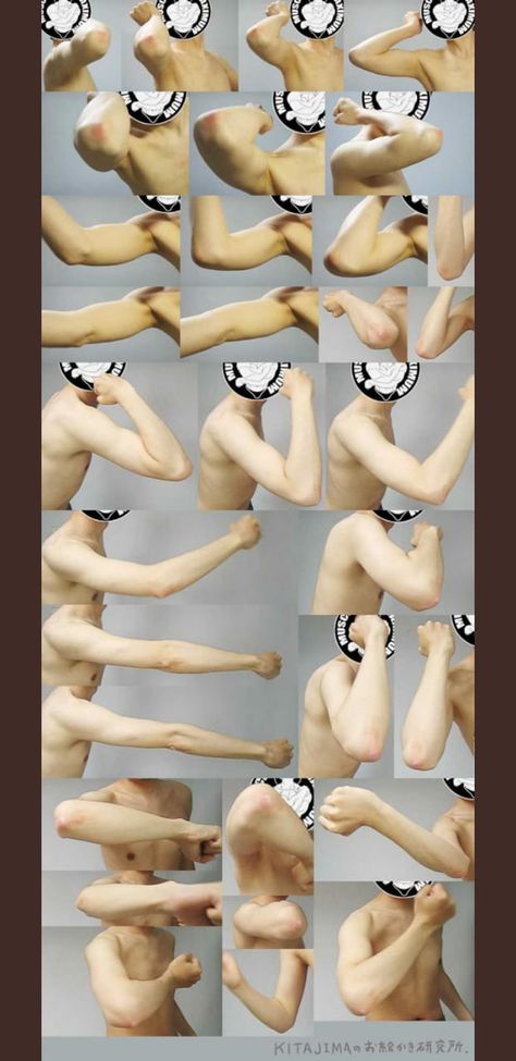 Arm Anatomy, Hand Drawing Reference, Figure Reference, Anatomy Poses, Anatomy For Artists, Hand Reference, Body Reference Drawing, Human Reference, Pose References