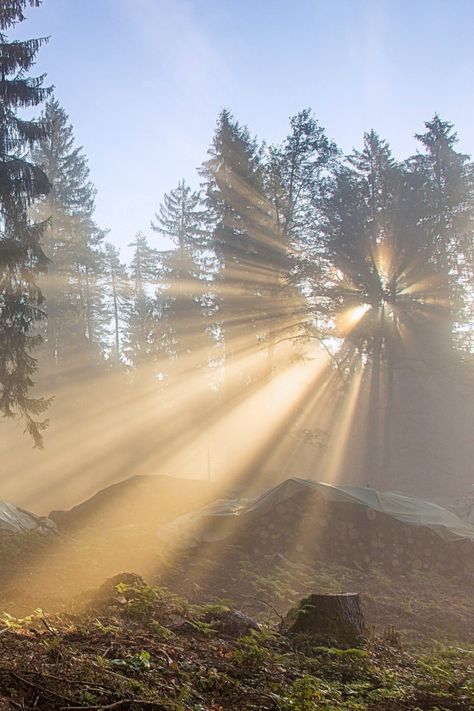 Mid Day Sun Photography, Morning Light Aesthetic, Sunrise Scripture, God Rays, Sunlight Aesthetic, Morning Offering, Sunlight Photography, Beams Of Light, Morning Sunlight