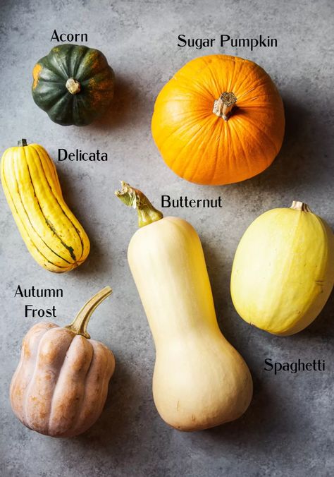 Hearty, healthy and delicious, in this roundup I am sharing 15 delicious winter squash recipes that you must try this season! Acorn Squash Recipes Healthy, Delicata Squash Recipe, Winter Squash Recipes, Cooking Spaghetti, Squash Risotto, Acorn Squash Recipes, Butternut Squash Risotto, Csa Recipes, Delicata Squash