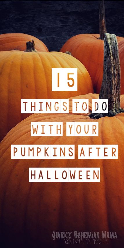 15 Ways to Recycle Your Pumpkins After Halloween, 15 Things To Do with Your Leftover Pumpkins, How to Recycle a pumpkin. Fall Pumkin Decoration, What To Make With A Pumpkin, What To Do With A Pumpkin, What To Do With Pumpkins, Fall Pumpkin Crafts, Leftover Pumpkin, Pumpkin Uses, Large Pumpkins, How To Recycle