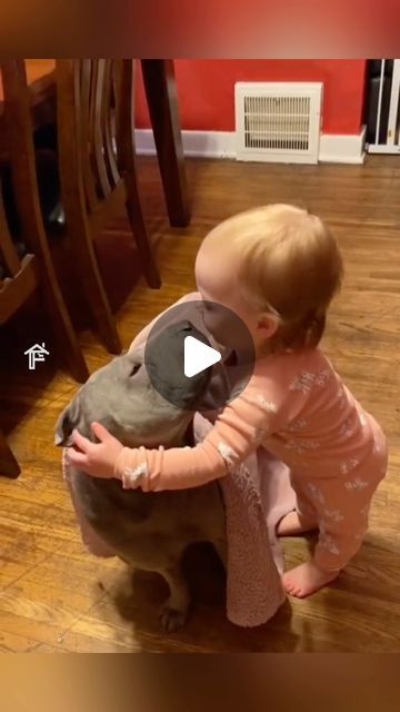 Puppy Videos Cutest, Funny Pets Videos, Babies With Dogs, Dog Videos Cutest, Baby Animals Adorable, Babies And Puppies, Cute Dogs Videos, Babies And Dogs, Cute Animal Friends