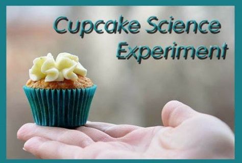 Full instructions for Cupcake Baking Science Project which demonstrates the importance of different ingredients. 1st Grade Science Fair, Slime Science Fair Project, Science Fair Projects For Elementary, Skittles Science, Science Fair Project, Preschool Science Activities, Cupcake Baking, Science Crafts, Baking Science