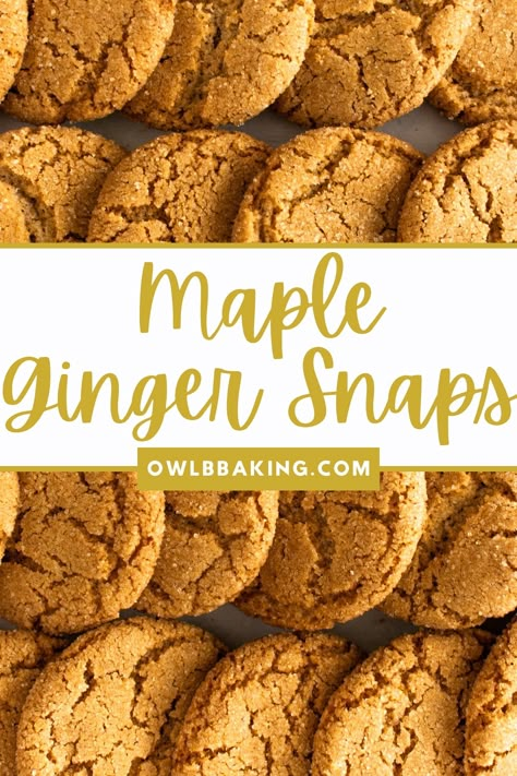 Maple Ginger Snaps are crispy, crunchy and absolutely delightful! This lightened up version of a traditional ginger snap is mildly spiced and made without the heaviness of molasses. An easy holiday cookie recipe that everyone will love! Gingerbread Cookies Without Molasses, Simple Holiday Cookie Recipes, Ginger Snap Cookies Recipe, Ginger Snaps Recipe, Chewy Ginger Cookies, Easy Holiday Cookies, Ginger Cookie Recipes, Chewy Gingerbread Cookies, Ginger Biscuits