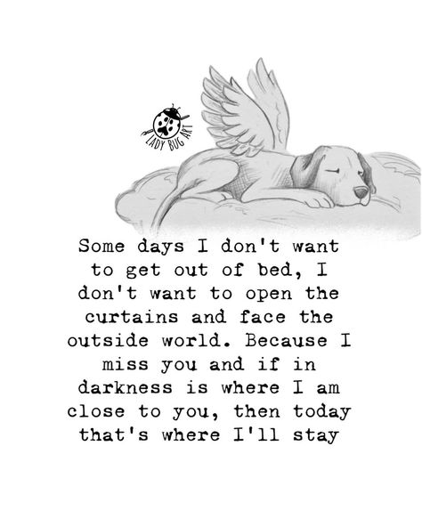 Time doesn’t heal everything. I had this awesome comment on Facebook the other day and it made my heart feel really happy. I posted that over 3 years I’ve self published 2 little books of affirmations. To which Carmen commented Please don’t diminish your accomplishments. You didn’t publish two ‘little’ books. You have, so far, published two books. You should say you’re a published author. PERIOD So here is a page from one of my books…. Because I AM A PUBLISHED AUTHOR 🤍 Losing A Dog Quotes, Dog Heaven Quotes, Love Parents Quotes, Miss My Dog, Dog Quotes Love, Heaven Quotes, Dog Heaven, Bug Art, Boxer Love