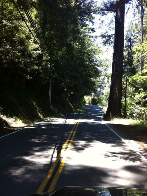 Old Santa Cruz Highway. Straight section of the road has to curve around a redwood tree. Santa Cruz Aesthetic, August Moodboard, Summer Vision, Lily Wallpaper, Santa Cruz Mountains, Redwood Tree, Forest Background, Central Coast, Summer 24