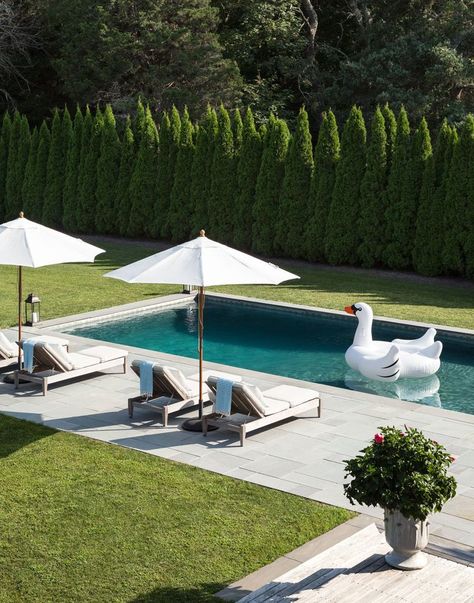 Bella Mancini Design Swimming Pool Wedding Reception, Trees Behind Pool, Adding Hot Tub To Existing Pool, Rectangle Pool Landscaping Backyard, Modern Rectangle Pool, Hamptons Landscaping, Landscape Ideas Around Pool, Pool With Slide, Outdoor Pool Decor