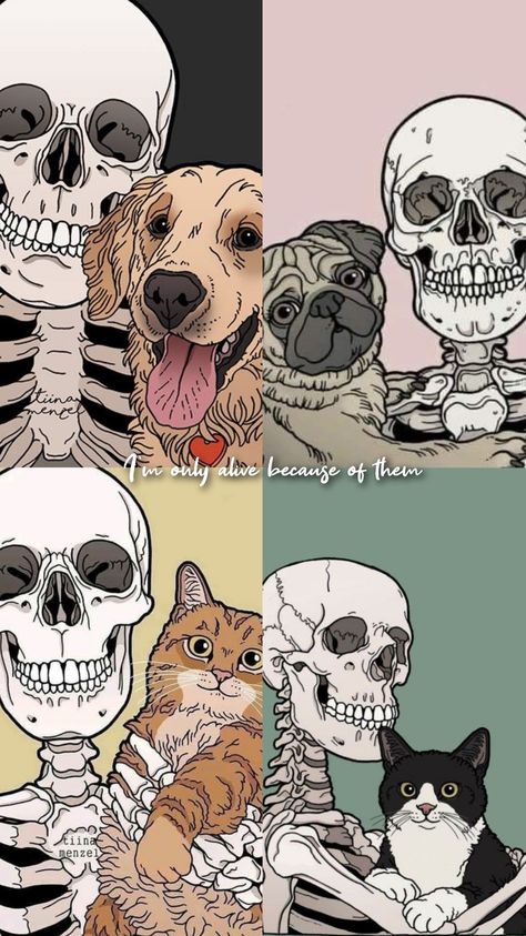 Veterinary Wallpaper Iphone, Aesthetic Vet Pictures, Vet Pictures, Vet School Motivation, Cat Medicine, Dog Design Art, Wildlife Wallpaper, Vet Medicine, Vet School