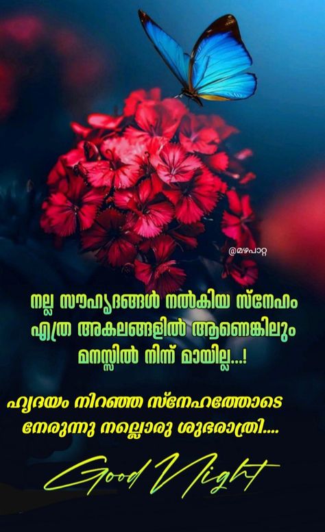 Good Night status in malayalam Good Night Wishes In Malayalam, Good Night Malayalam Quotes, Good Night Malayalam, Positive Good Night Quotes, Good Night Status, Beautiful Good Night Messages, Cute Good Night Quotes, Sweet Dream Quotes, Goodnight Quotes Inspirational