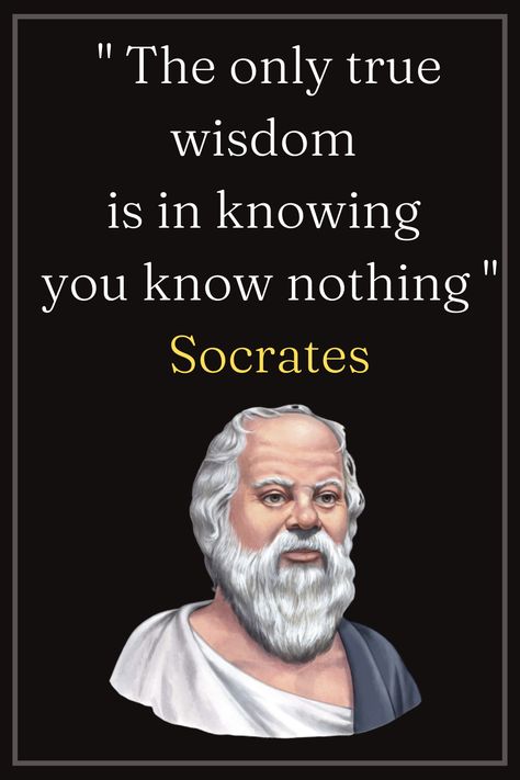 What Is Wisdom, Socrates Philosophy, Philosophy Theories, Socrates Quotes, Seeking Knowledge, Brilliant Quote, People Faces, Drawing People Faces, Socrates