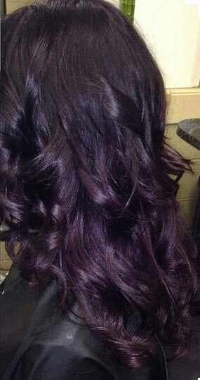 Dark Purple Hair Almost Black, Dyed Hair Natural Colors Brunettes, Purple Black Hair, Hair Color Plum, Dark Purple Hair, Dyed Hair Purple, Plum Hair, Hair Color Underneath, Wine Hair