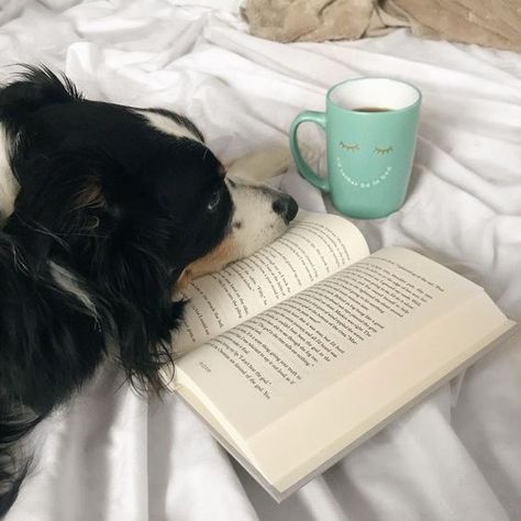 Hygge Moments, Olivier Mira Armstrong, Winry Rockbell, Book And Coffee, Dog Books, Funny Dog Pictures, Animal Books, Coffee And Books, Reading Books