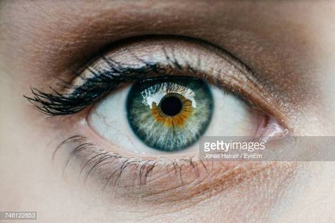 World's Best Human Eye Stock Pictures, Photos, and Images - Getty Images Migraine Aura, Eye Damage, Extreme Close Up, Health Video, Vision Problems, Eye Photography, Human Eye, Makeup For Green Eyes, Eye Health