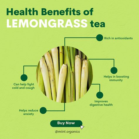 Lemon Grass Tea Benefits, Herbs Benefits, Healthy Teas Recipes, Good Brain Food, Tea Health, Herbal Remedies Recipes, Turmeric Health, Lemongrass Tea, Tea Health Benefits