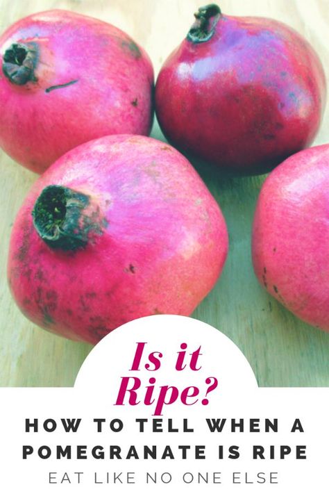 How to Tell When a Pomegranate is Ripe  #pomegranate #fruit #ripefruit #seasonal #eatlikenooneelse | eatlikenoone.com How To Eat Pomegranate, How To Eat A Pomegranate, Pomegranate Recipes Healthy, Eating Pomegranate, Pomegranate Growing, Pomegranate How To Eat, Pomegranate Benefits, Witchy Garden, Pomegranate Recipes