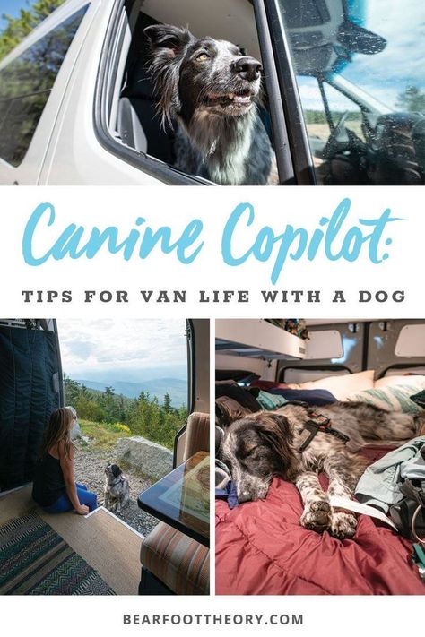 Wondering what van life with a dog is like? Here is my best advice for taking care of your pup & finding dog-friendly activities while living on the road. Vanlife With A Dog, Van Conversion Dog, Life With A Dog, Tips For Life, Road Trip With Dog, Campervan Ideas, Van Travel, Ford Transit Camper, Transit Camper