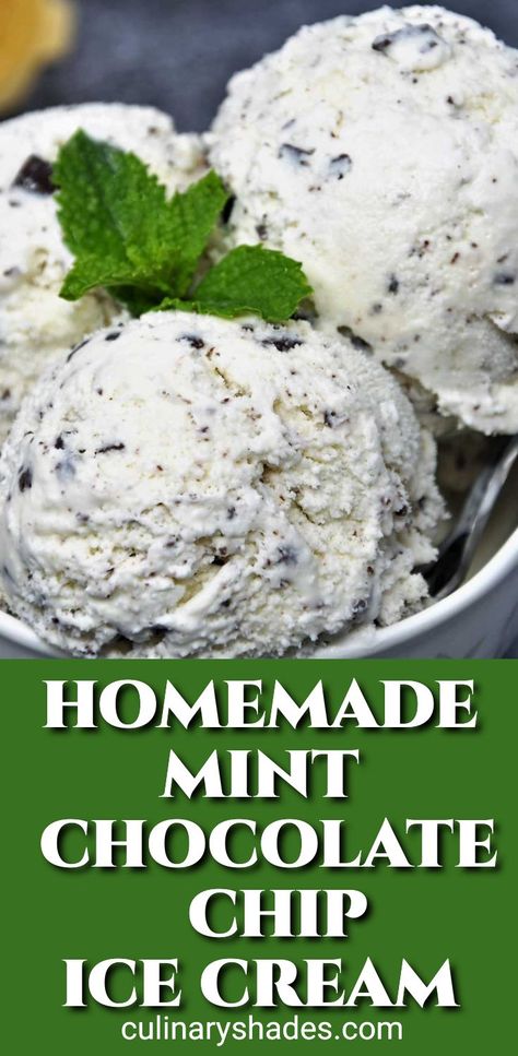 Mint Chocolate Chip Ice Cream - Culinary Shades Cuisinart Mint Chocolate Chip Ice Cream, How To Make Mint Chocolate Chip Ice Cream, Mint Chip Ice Cream Recipe, Dessert Potluck, Homemade Mint Chocolate Chip Ice Cream, Mint Chocolate Chip Ice Cream Recipe, Cuisinart Ice Cream Maker Recipes, Kitchen Aid Ice Cream Recipes, Homemade Ice Cream Recipes Machine