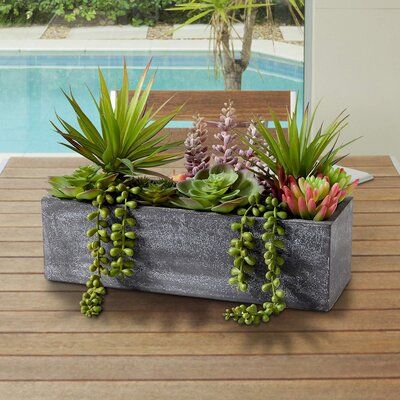 Gray Planter, Rectangle Planters, Coffee Table Centerpieces, Rectangular Planters, Stone Planters, Decoration Plante, Mini Succulents, Artificial Succulents, Affordable Decor