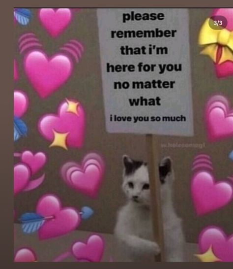 Love You Meme, Cute Cat Memes, Cute Love Memes, Silly Cats Pictures, Cute Texts For Him, Pinterest Memes, Cute Messages, Wholesome Memes, Cute Memes