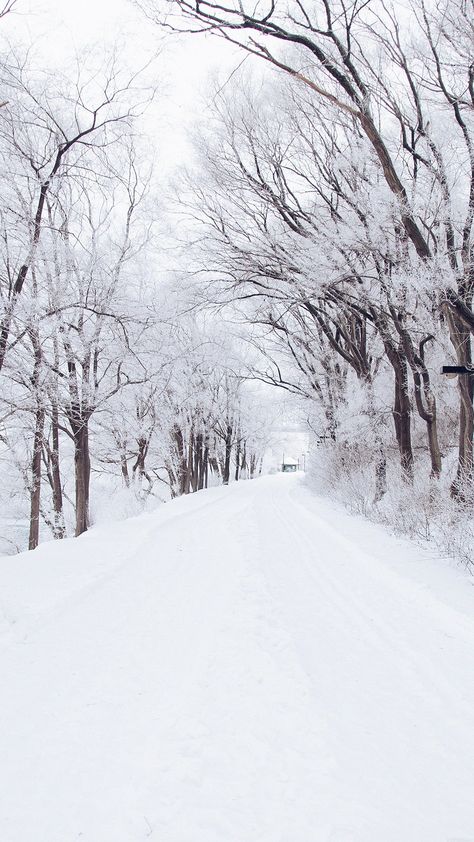 Winter Road Romantic Nature Snow White #iPhone #6 #plus #wallpaper Snow White Photography, Winter Iphone, Iphone Wallpaper Winter, Romantic Nature, Wallpaper Winter, Mountain Snow, Winter Survival, Winter Road, Running In Cold Weather