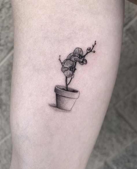 Gardener Tattoo, Gardening Tattoo, Tattoo Plant, Plant Flower, Tatting, Tattoos