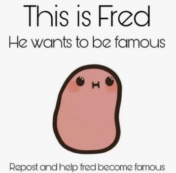 Fred is a loving potato in need of your help! His dream is to become famous, but he needs you guys to repost! Please help this potato! Potato Quotes, Potato Picture, Cartoon Potato, Potato Funny, Kawaii Potato, Barbie Funny, Cute Potato, Mini Doodle, Cute Funny Cartoons