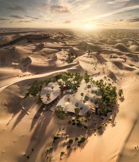 Desert Resort, Desert Design, Desert Oasis, Urban Fabric, Graduation Project, Hospitality Design, Desert Landscaping, Hotel Design, Concept Architecture