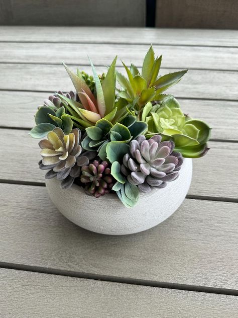 Faux Mix Succulents in a Ceramic Bowl Succulent Arrangements in a White Wash Bowl for Shelves Kitchen Farmhouse Minimalist Home Decor - Etsy Succulent Bowls, Golf Party Decorations, Succulent Landscaping, Shelves Kitchen, Succulent Centerpieces, Fake Succulents, Outdoor Pots, Kitchen Farmhouse, Faux Succulents