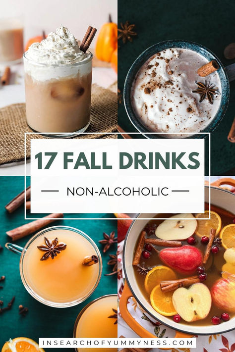 A collage of four drinks with a text overlay that says 17 Fall Drinks Non-Alcoholic. Greek Lunch, Comfort Drinks, Cozy Fall Drinks, Autumn Drinks, Fall Coffee Drinks, Autumn Treats, Fall Drink Recipes, Light Drinks, Fall Drink