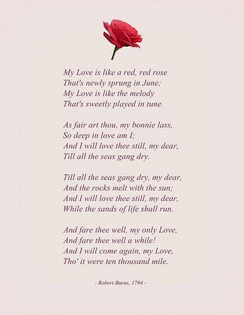 Poem Flower, Rose Poems, Flower Poem, Romantic Love Pictures, Robert Burns, Best Poems, Engagement Dress, Wedding Quotes, Sweet Quotes