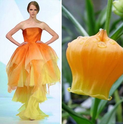 Fashion Inspired By Flowers, Nature Inspired Fashion Illustration, Nature Inspired Fashion Design, Fashion Themes Inspiration, Biomimicry Fashion, Theme Board Fashion Inspiration, Fashion Themes Inspiration Ideas, Flower Inspired Fashion, Moodboard Fashion Design Inspiration