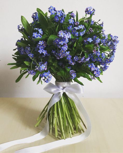 Forget Me Not Floral Arrangement, Wedding Bouquets With Forget Me Nots, Wedding Flowers Forget Me Nots, Wedding Bouquet Forget Me Nots, Wedding Forget Me Not, Forget Me Not Flower Arrangements, Forget Me Not Bridal Bouquet, Forget Me Not Bouquet Wedding, Forget Me Not Flowers Bouquet