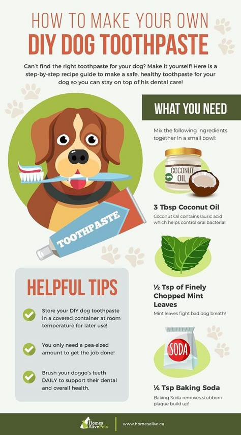 Dog Toothpaste Recipe, Diy Dog Toothpaste, Homemade Dog Toothpaste, Dog Teeth Care, Healthy Toothpaste, Lou Dog, Bad Dog Breath, Pet Dental Care, Dog Toothpaste