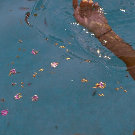 A forma da agua Floating, Swimming, Water, Flowers