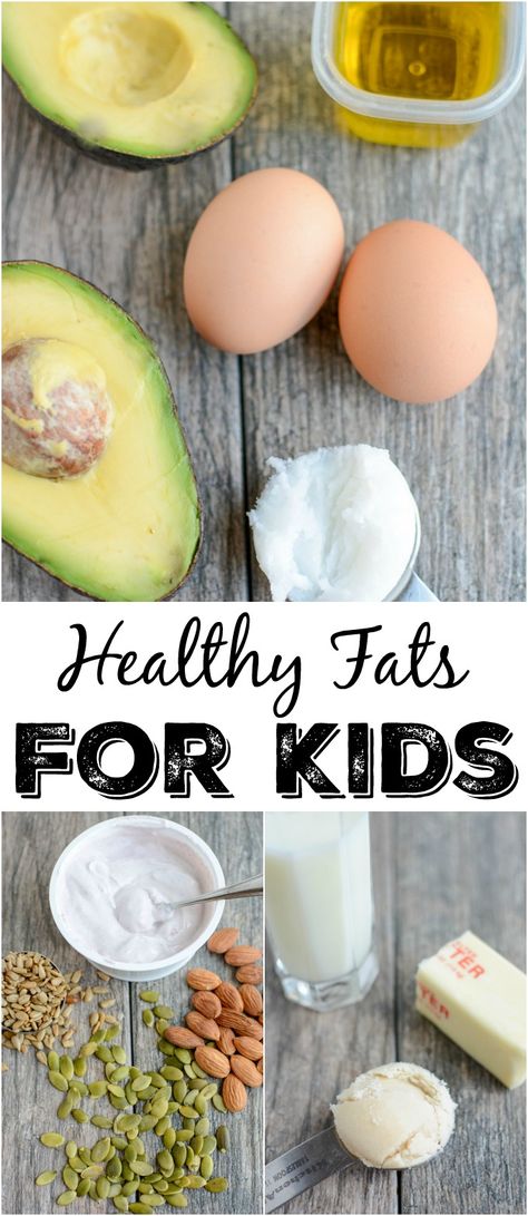 High Fat Snacks For Kids, High Fat Toddler Food, High Fat Foods For Toddlers, Healthy Fats For Toddlers, Nutritional Eating, Healthy Fats List, Bear Food, Detox Week, Baby Nutrition