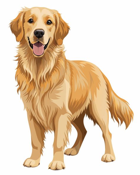 Golden Retriever Outline, Golden Retriever Cartoon, Golden Retriever Illustration, Golden Retriever Drawing, Golden Retriever Art, Star Coloring Pages, 골든 리트리버, Black Labrador Retriever, Dog Vector